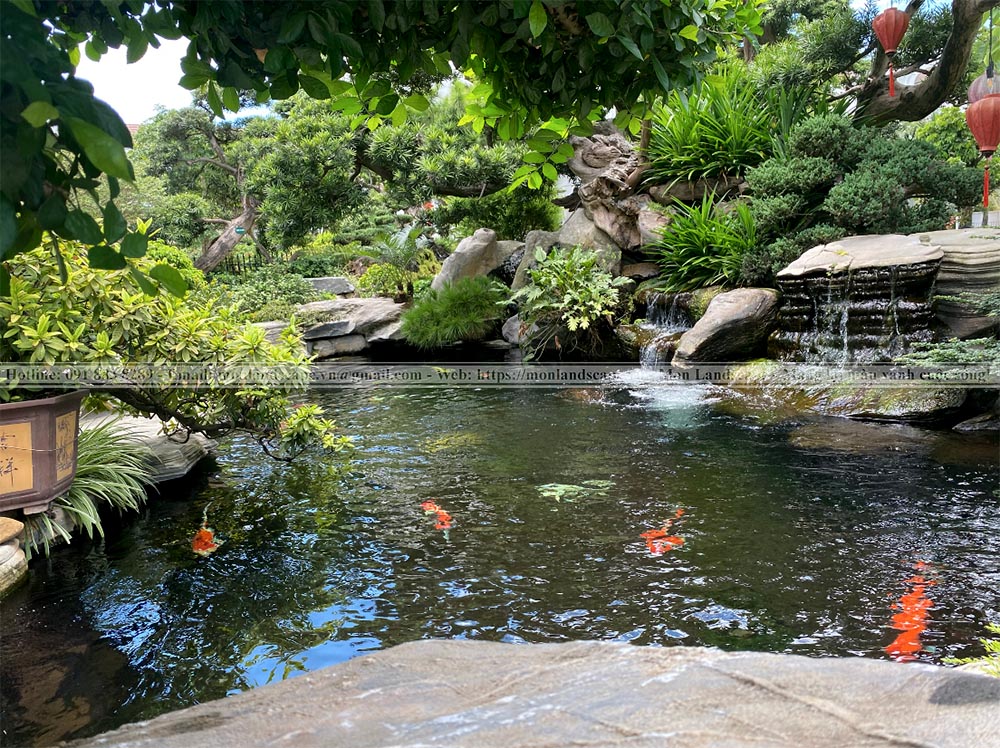 Các biện pháp làm sạch hồ cá