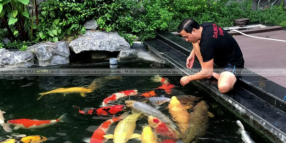 Các biện pháp làm sạch hồ cá