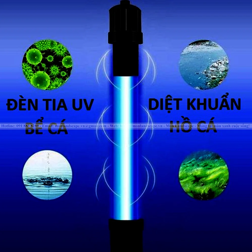 Các biện pháp làm sạch hồ cá