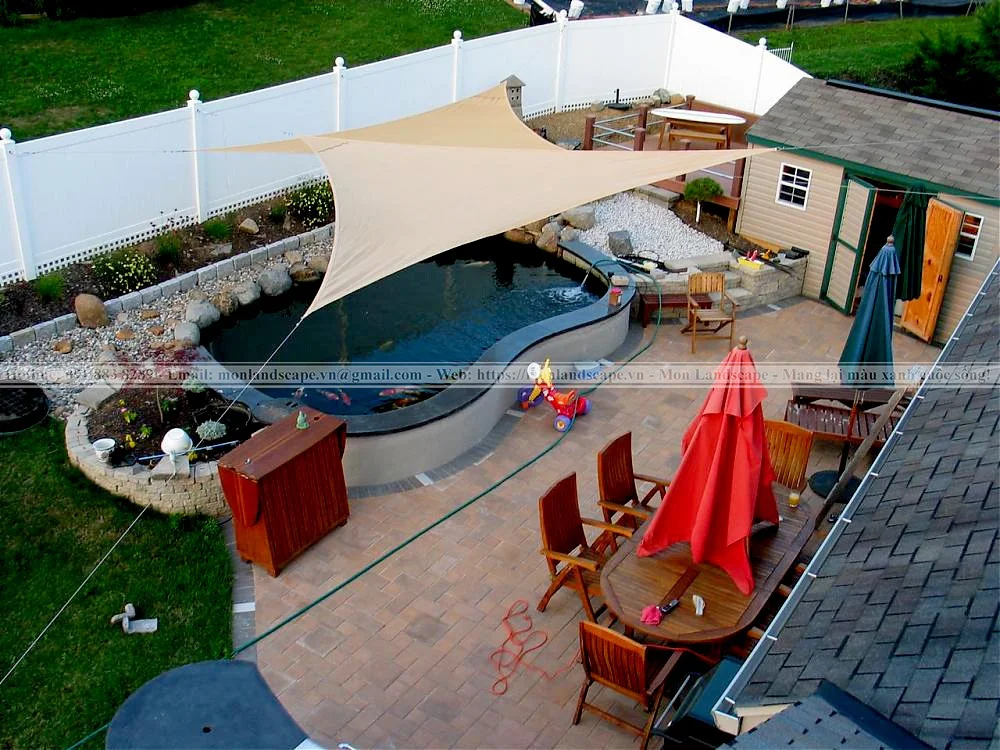 Các biện pháp làm sạch hồ cá