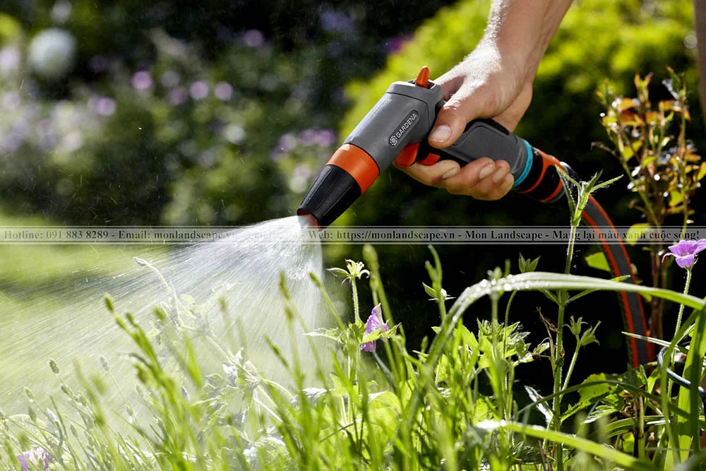 Chăm sóc cây cảnh trong vườn vào mùa đông Chăm sóc cây cảnh trong vườn vào mùa đông