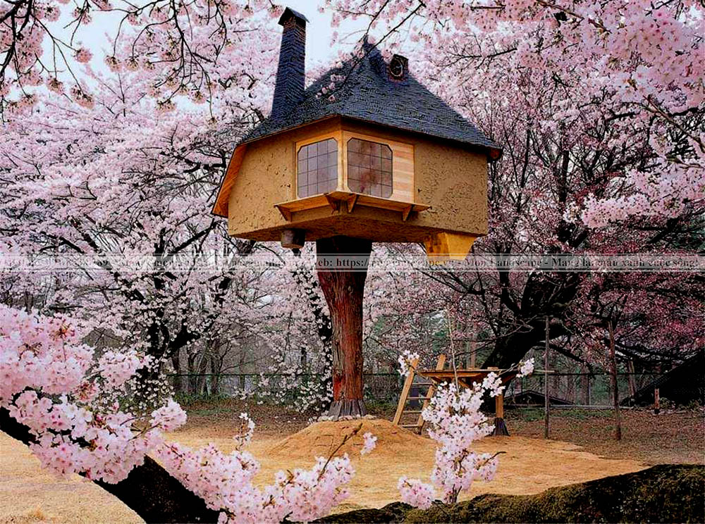 Top những ngôi nhà trên cây nổi tiếng trên thế giới