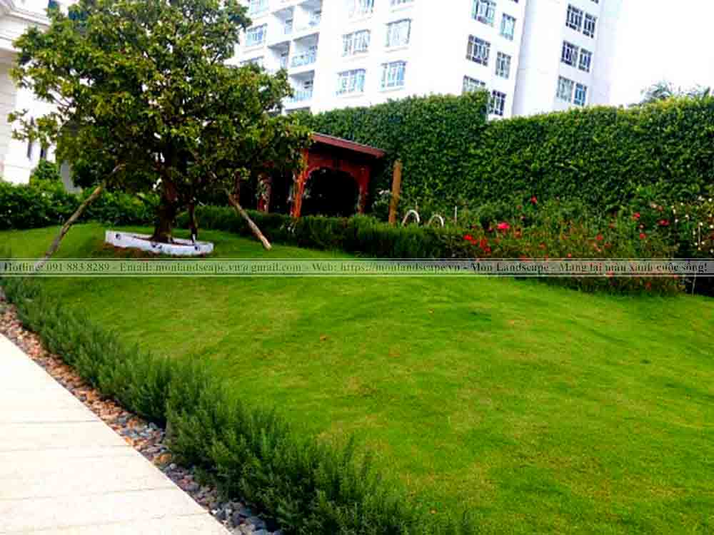 Tiểu cảnh đồi cỏ sân vườn