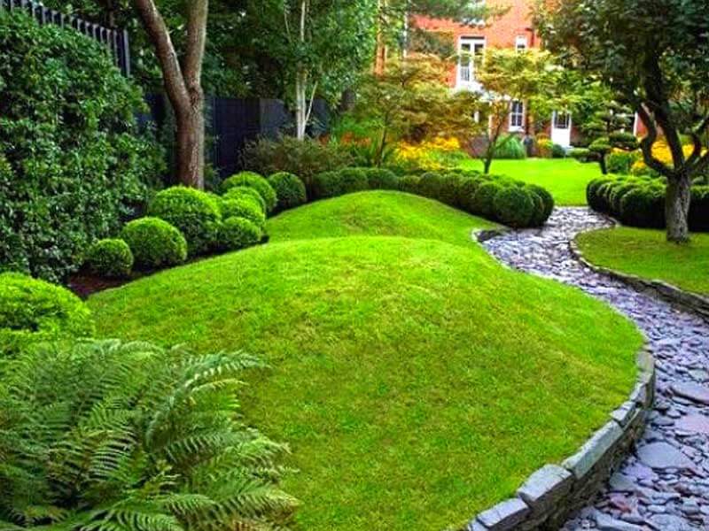 Tiểu cảnh đồi cỏ sân vườn