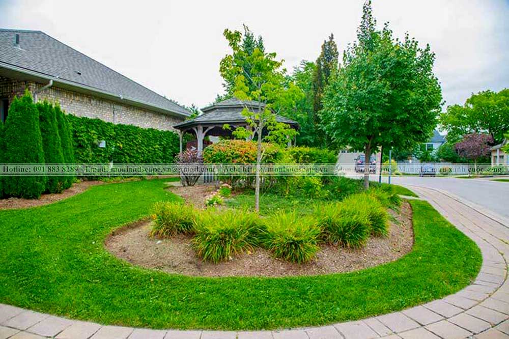 Tiểu cảnh đồi cỏ sân vườn