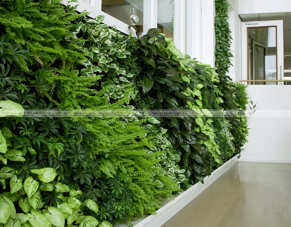 Tiết kiệm không gian với vườn đứng (Tường cây xanh)