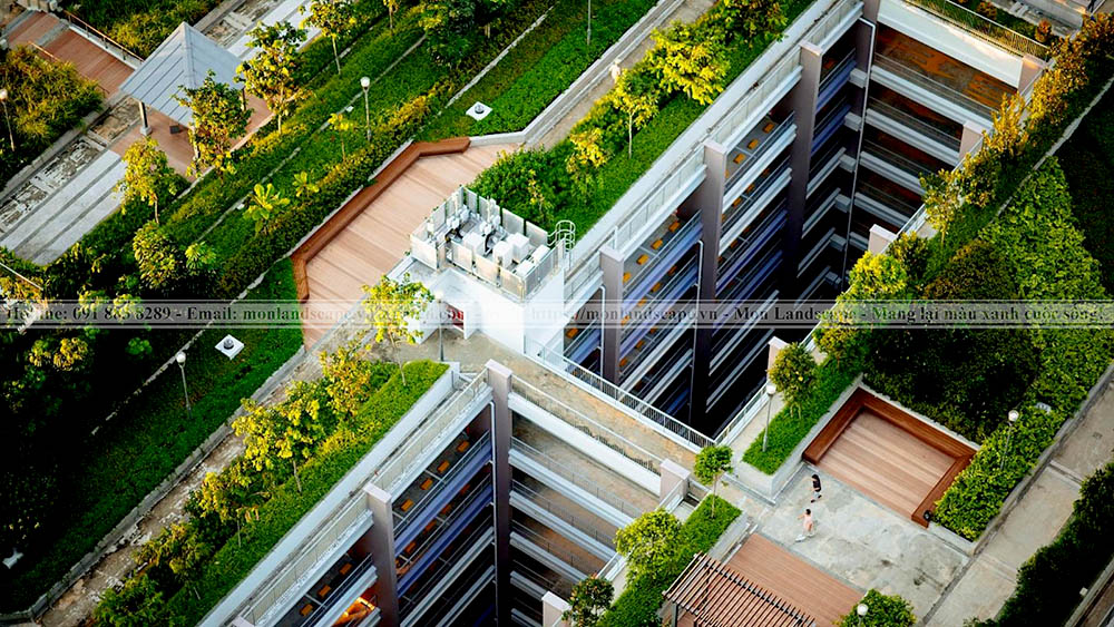 Tổng quan về những mái nhà xanh