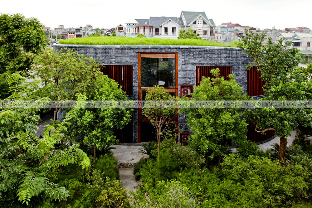 Tổng quan về những mái nhà xanh