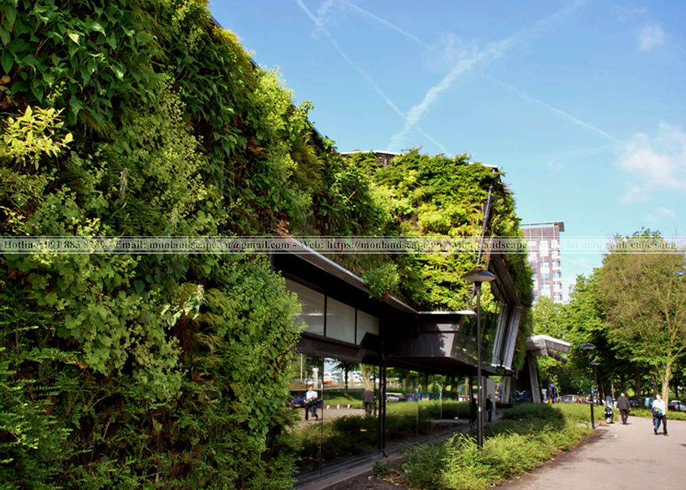 Trung tâm thể thao xanh – Hà Lan