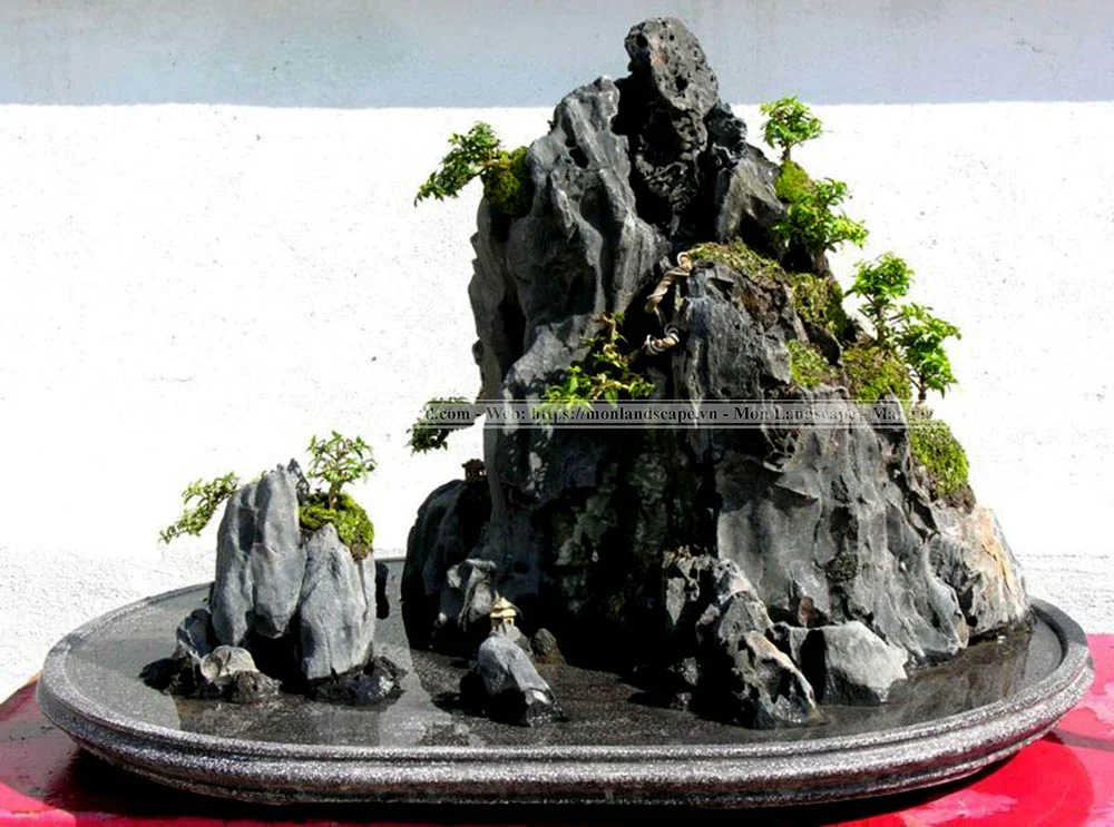 Các loại đá thi công tiểu cảnh sân vườn Các loại đá thi công tiểu cảnh sân vườn