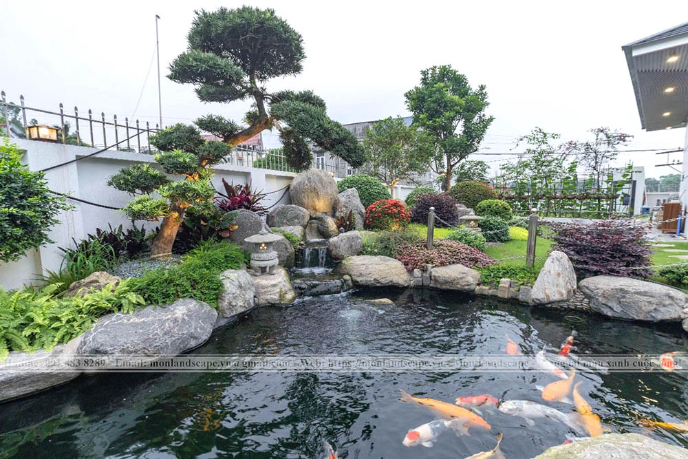Cây xanh trồng quanh hồ cá koi