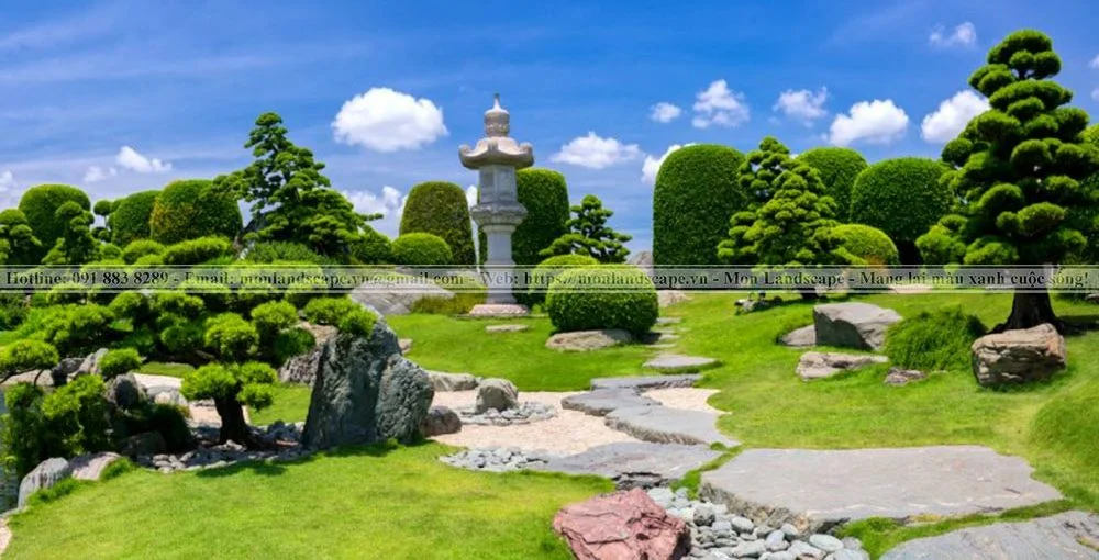 Tùng la hán - Đặc trưng sân vườn Nhật Bản