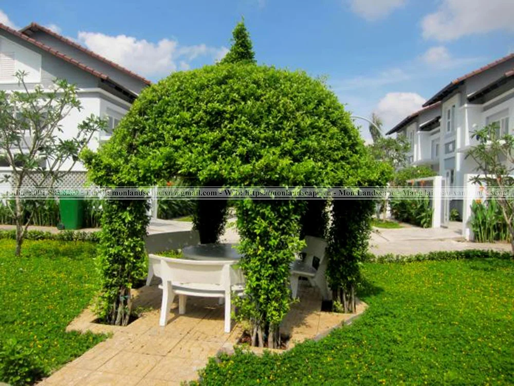 Các mẫu nhà chòi sân vườn được ưa chuộng