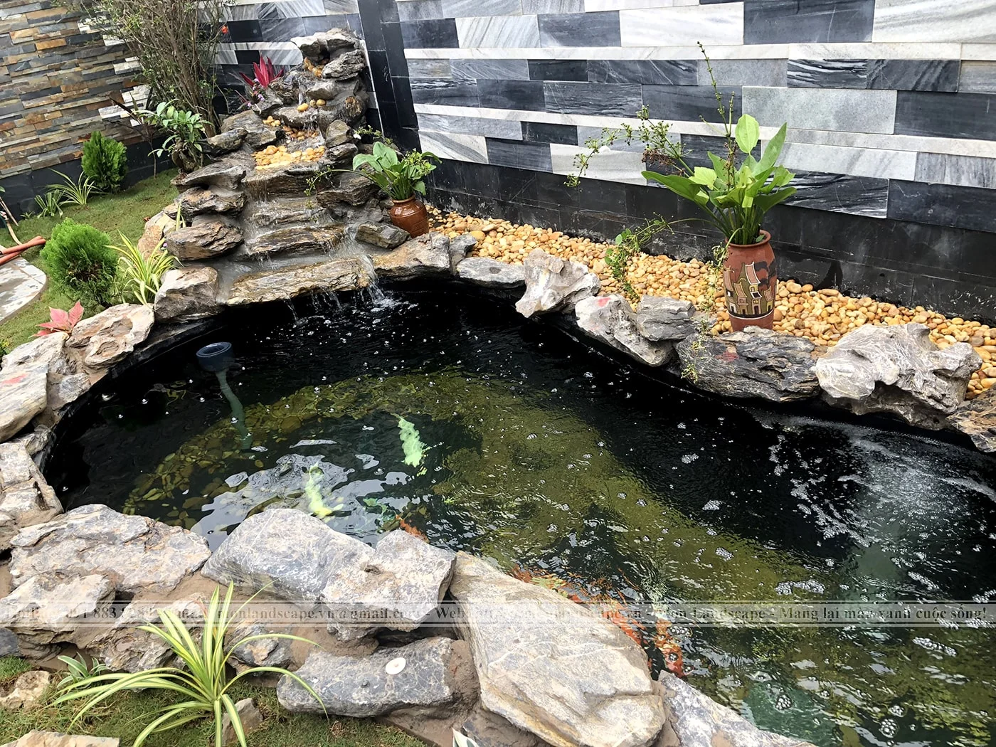 Kĩ thuật chăm sóc cá Koi 