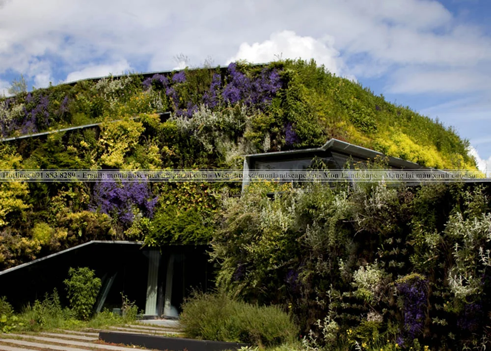 Trung tâm thể thao xanh – Hà Lan