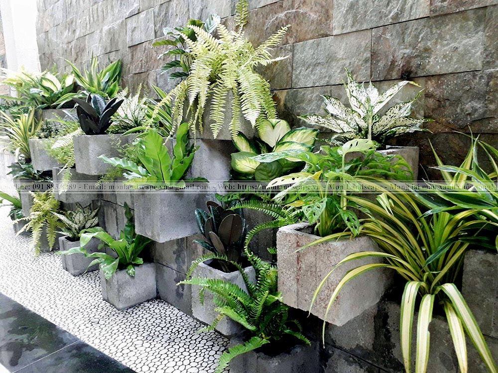 5 kiểu tiểu cảnh vách tường độc đáo 5 kiểu tiểu cảnh vách tường độc đáo
