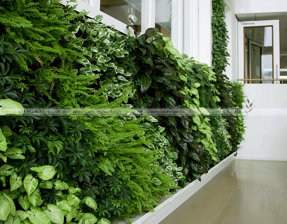 5 kiểu tiểu cảnh vách tường độc đáo 5 kiểu tiểu cảnh vách tường độc đáo