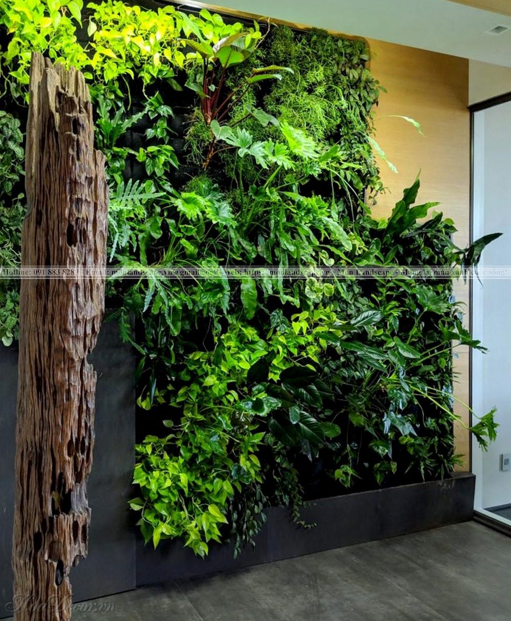 5 kiểu tiểu cảnh vách tường độc đáo 5 kiểu tiểu cảnh vách tường độc đáo