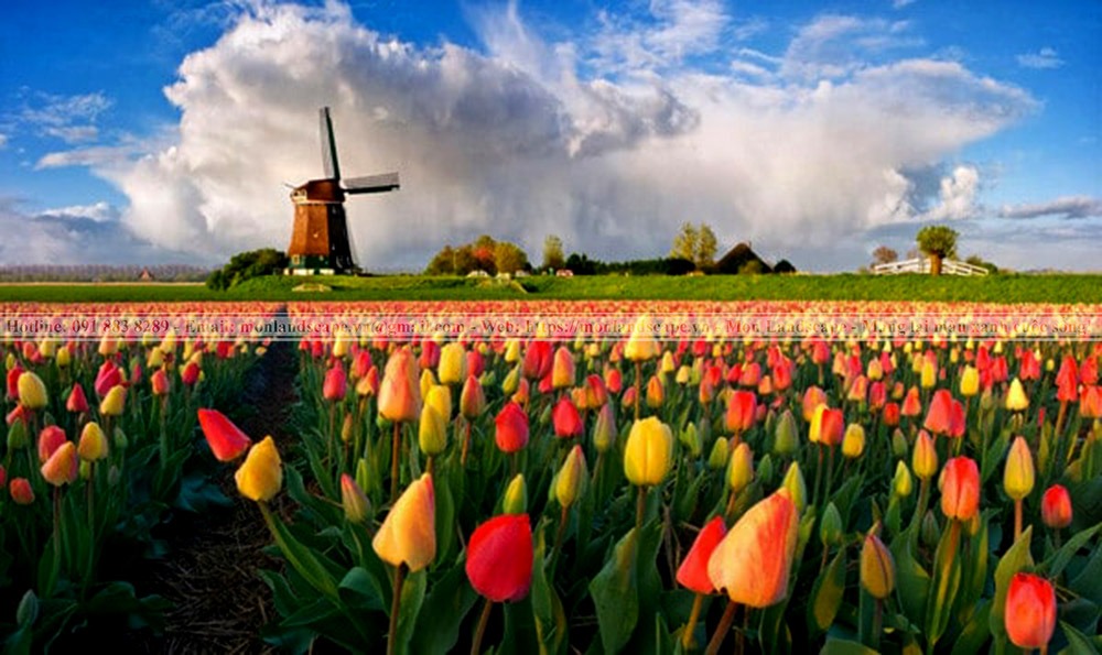 Top 5 vườn hoa đẹp nhất thế giới