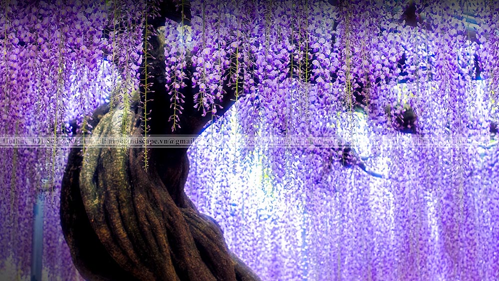 Top 5 vườn hoa đẹp nhất thế giới