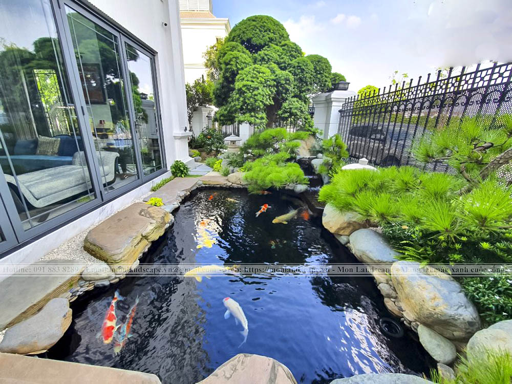 Nồng độ PH lí tưởng cho hồ cá koi