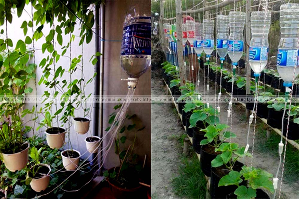 Hệ thống tưới tự động nhỏ giọt cho cây