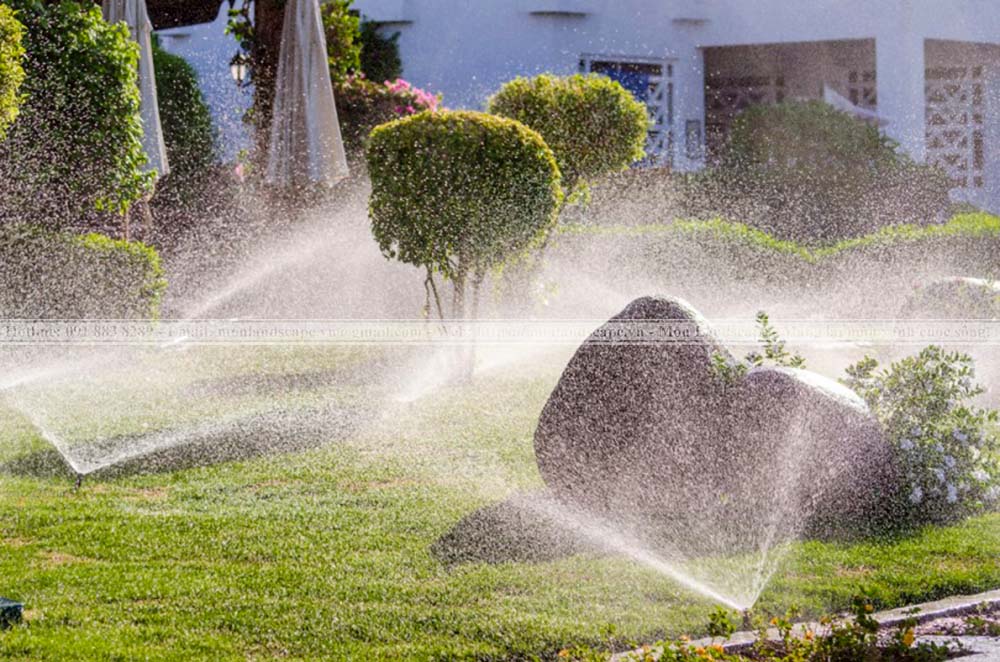Hệ thống tưới nước tự động cho cây 