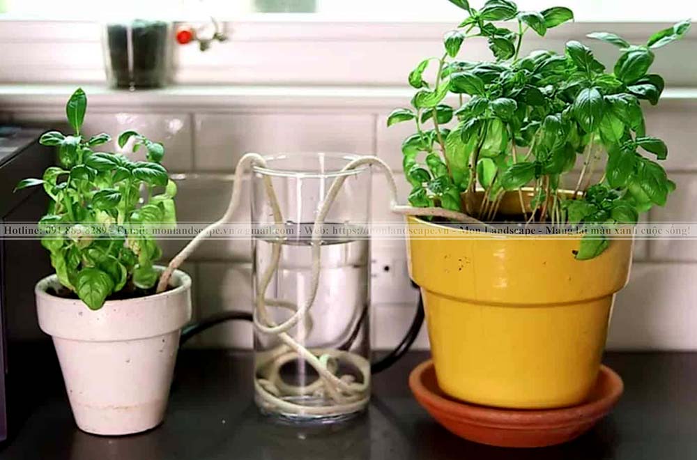 Hệ thống tưới tự động nhỏ giọt cho cây