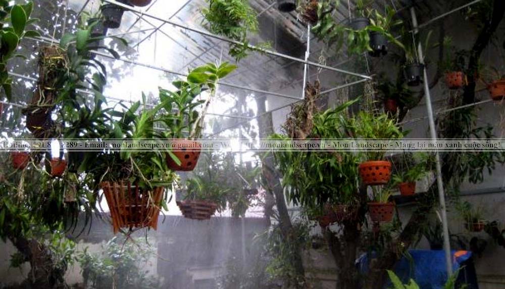 Hệ thống tưới tự động phun sương