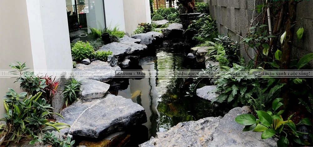Lưu ý khi thiết kế hồ nước cá koi hợp phong thủy 