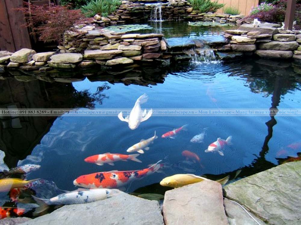 Lưu ý khi thiết kế hồ nước cá koi hợp phong thủy 