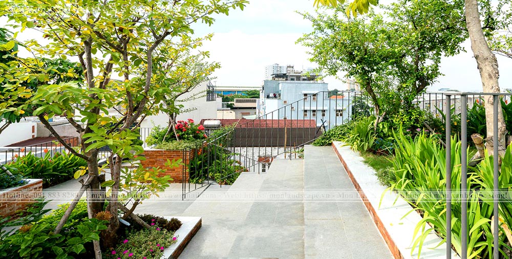 Trồng cây trên sân thượng sao cho hợp lý