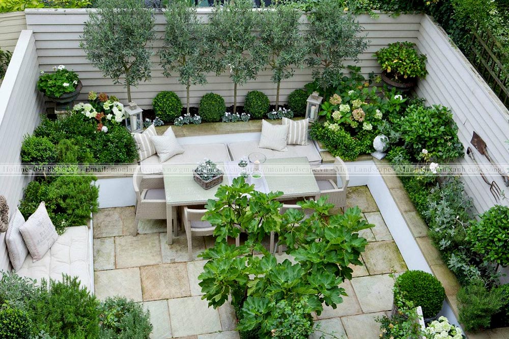 Trồng cây trên sân thượng sao cho hợp lý