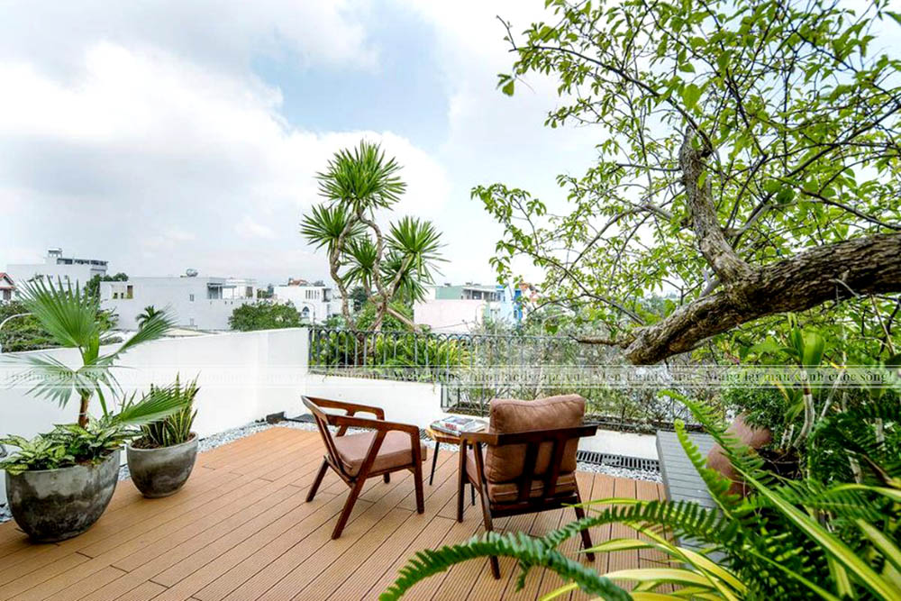 Trồng cây trên sân thượng sao cho hợp lý