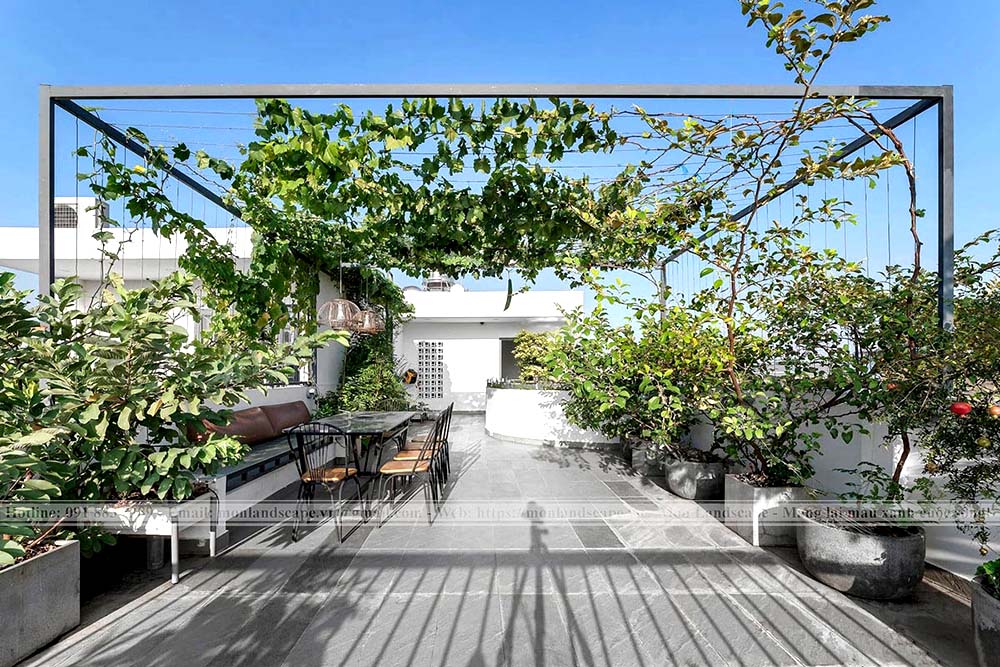 Trồng cây trên sân thượng sao cho hợp lý