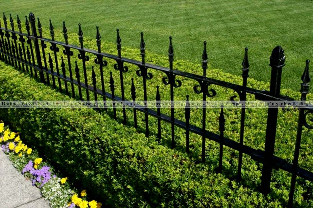 Hàng rào sân vườn được làm bằng sắt
