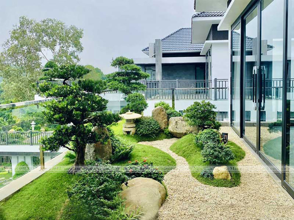 5 lời khuyên khi làm vườn trên mái