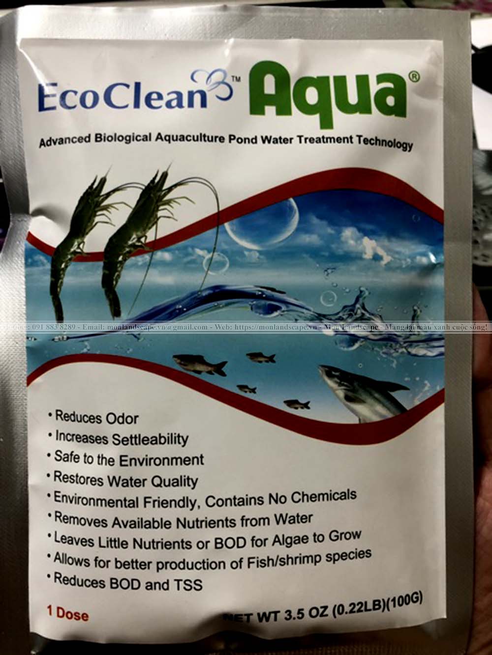 Biện pháp làm sạch ngay tảo khỏi bể cá