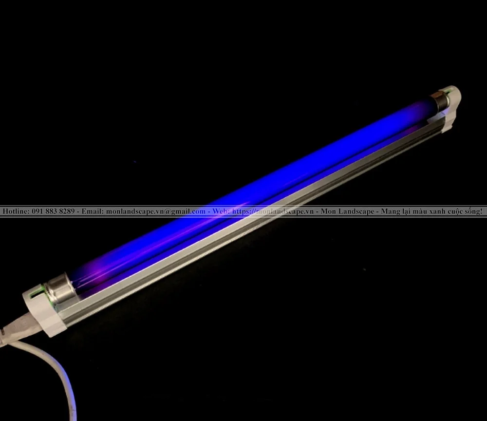 Biện pháp làm sạch ngay tảo khỏi bể cá