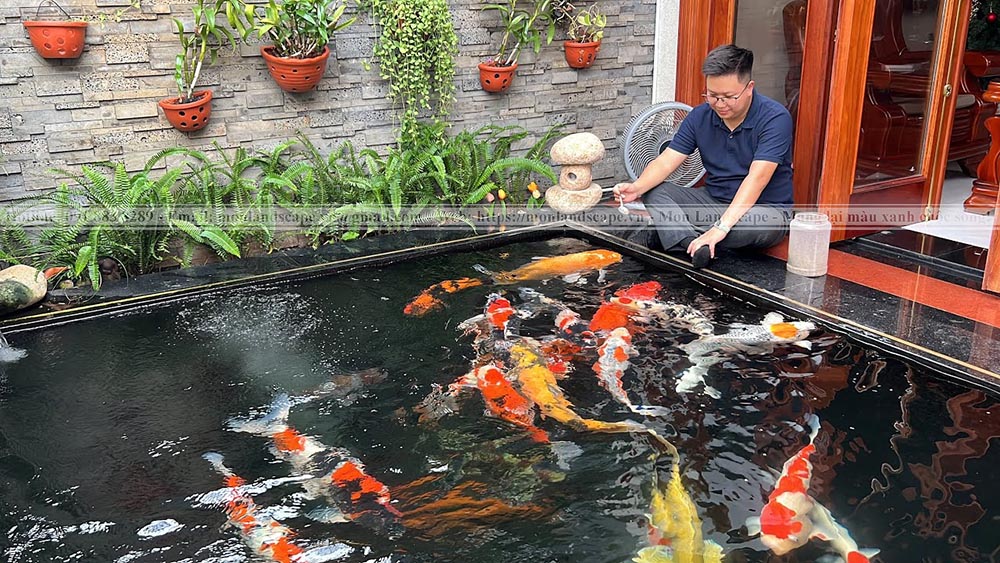 Phương pháp sử dụng điện tiếc kiệm cho hồ cá Koi