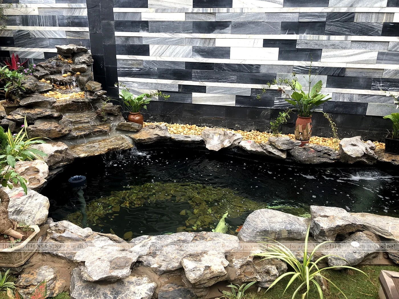Tiêu chí đánh giá một hồ cá koi đạt chuẩn