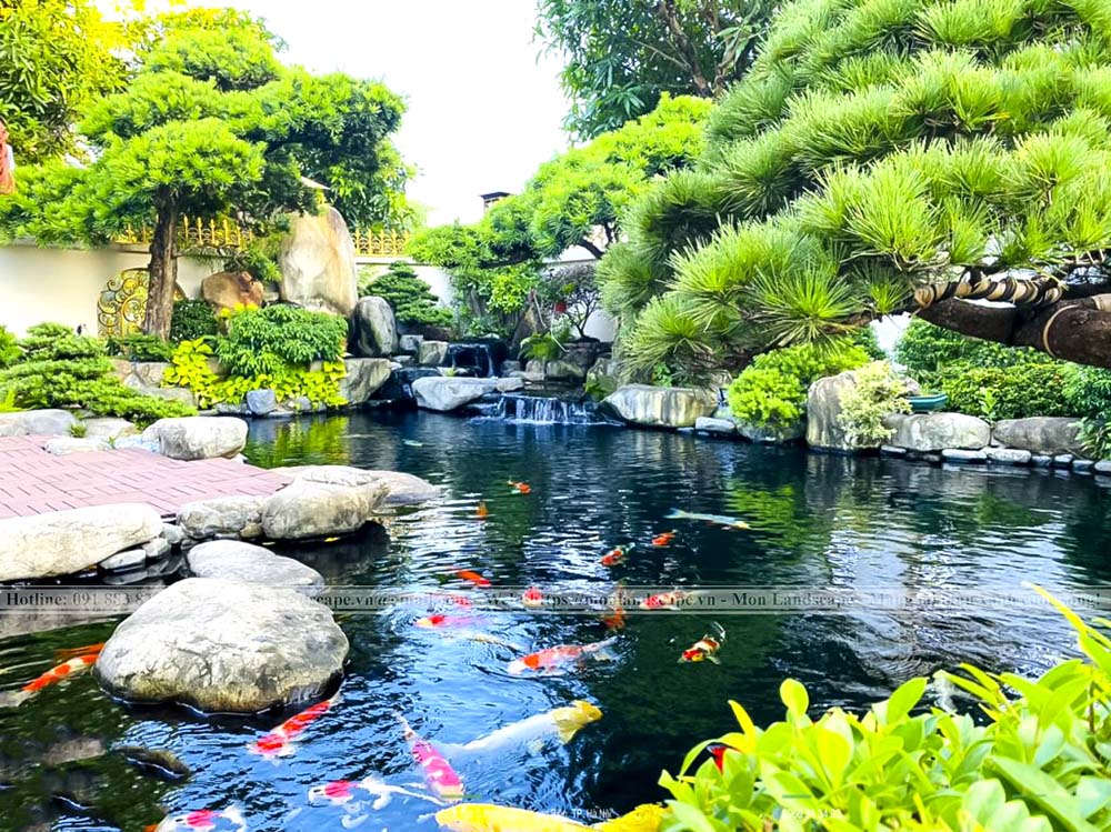 Tiêu chí đánh giá một hồ cá koi đạt chuẩn