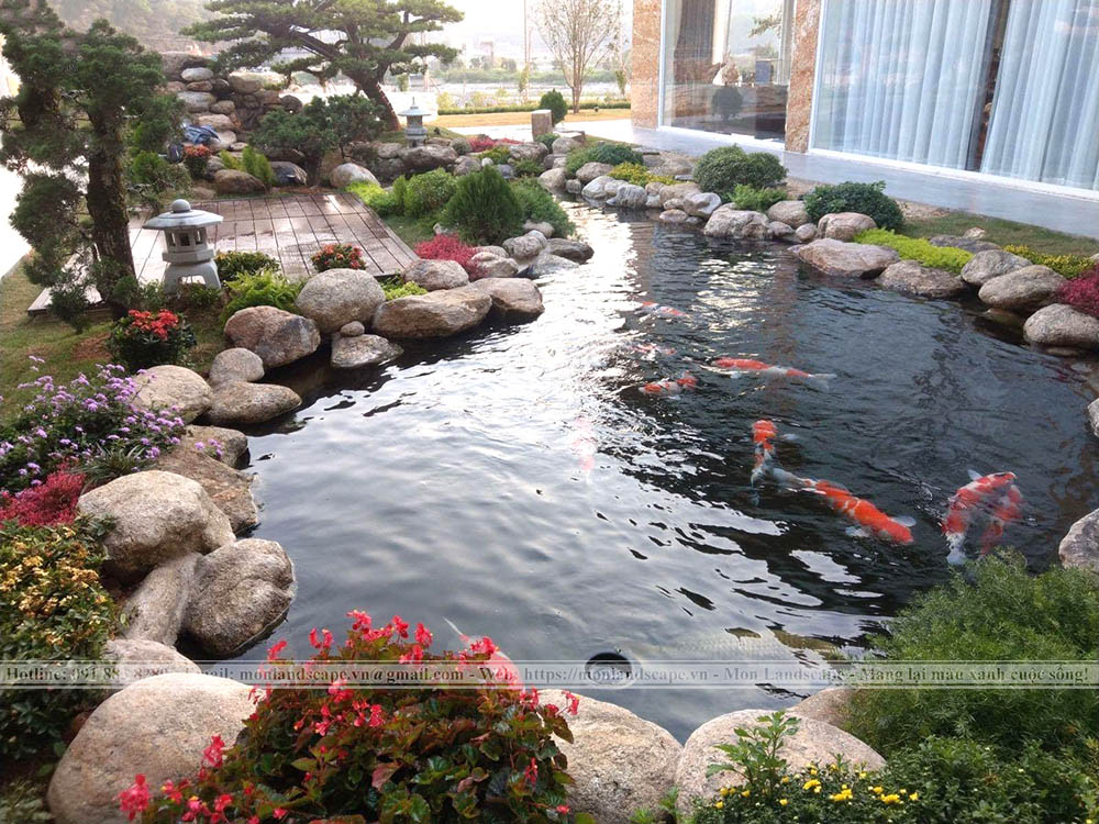 Tiêu chí đánh giá một hồ cá koi đạt chuẩn