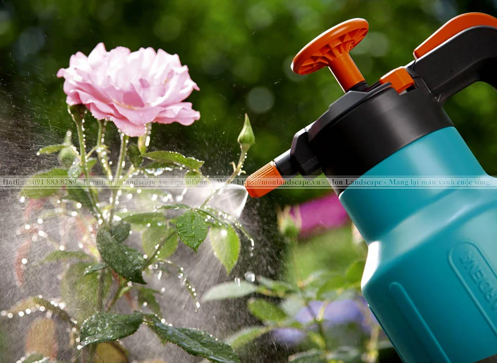 Cách tưới cây và chăm sóc cây vào mùa mưa