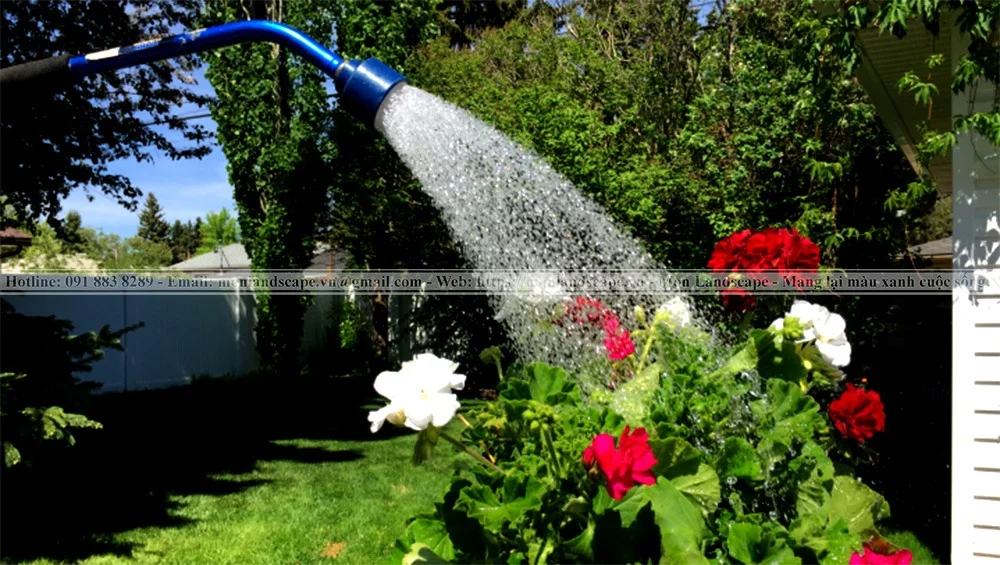 Cách tưới cây và chăm sóc cây vào mùa mưa