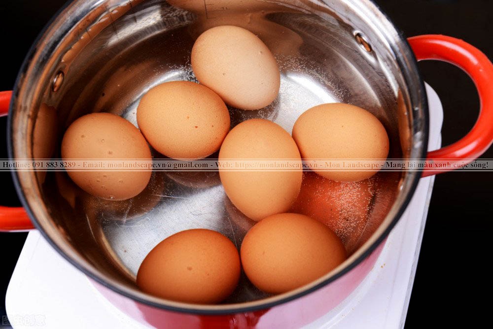 Sử dụng nước luộc trứng