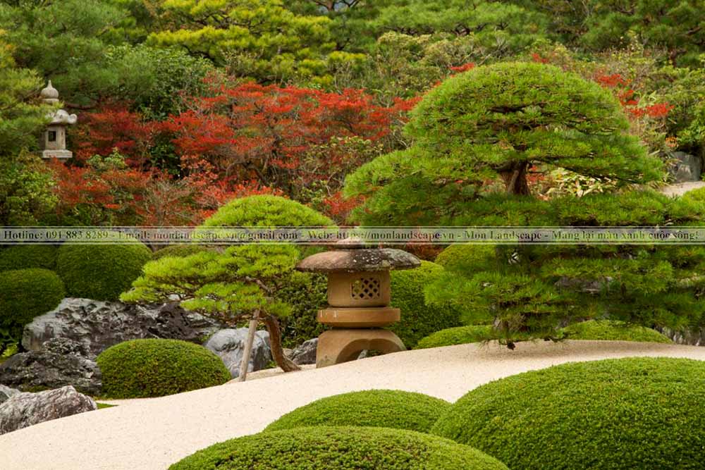 Kinh nghiệm thi công sân vườn Nhật Bản