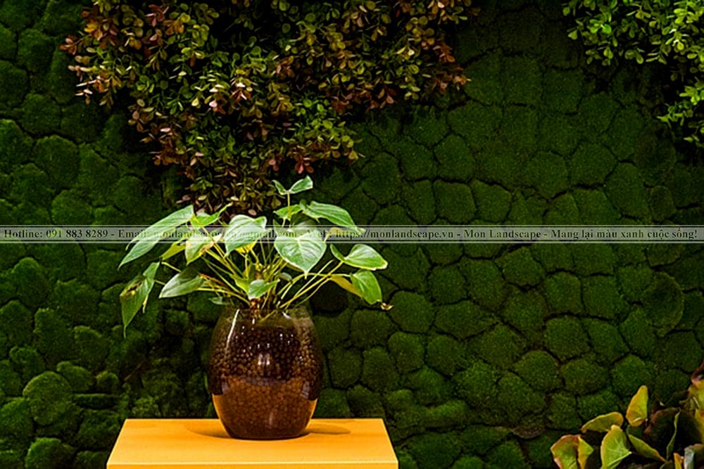 Trang trí nhà với tiểu cảnh rêu và bonsai rêu