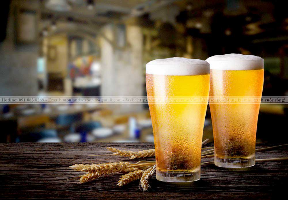 Tận dụng lại phần bia còn thừa và không sử dụng nữa