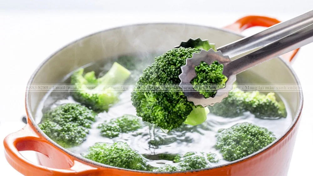 Tận dụng nước luộc các loại rau củ 